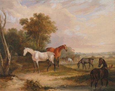 Horses Grazing- a Grey Stallion Grazing with Mares in a Meadow by Francis Calcraft Turner